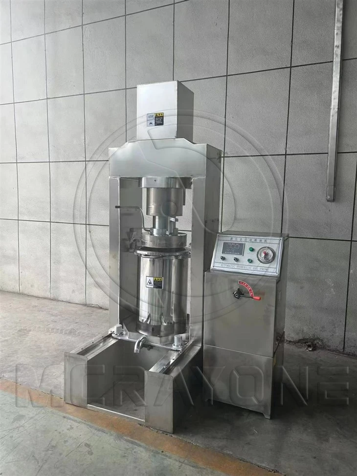 Pumpkin Oil Extraction